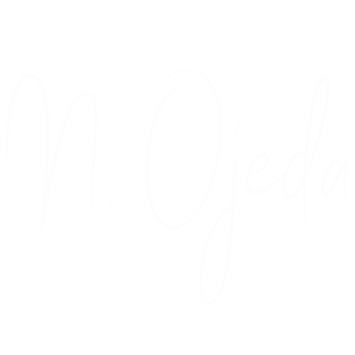 Logo de Noelia Ojeda Estilistas en fondo blanco